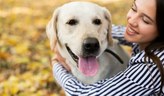 colostrum-for-dogs